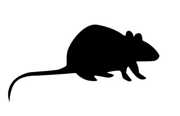 Weaner Mice 10pack
