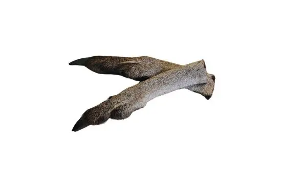 Kangaroo Feet 4 pack