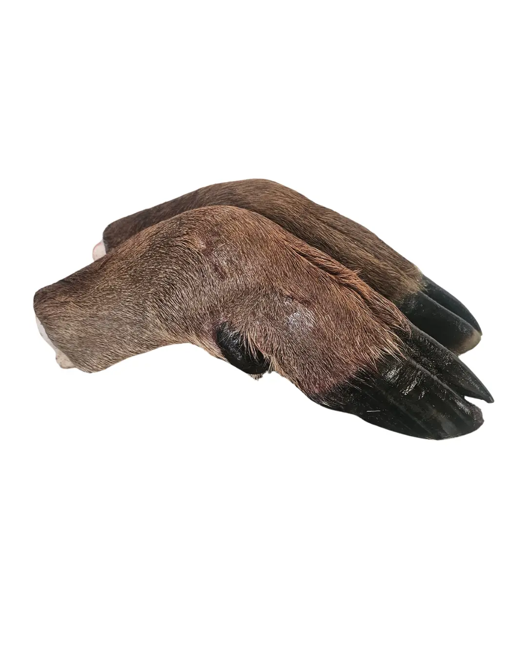 Deer Feet 2pk - Image 2