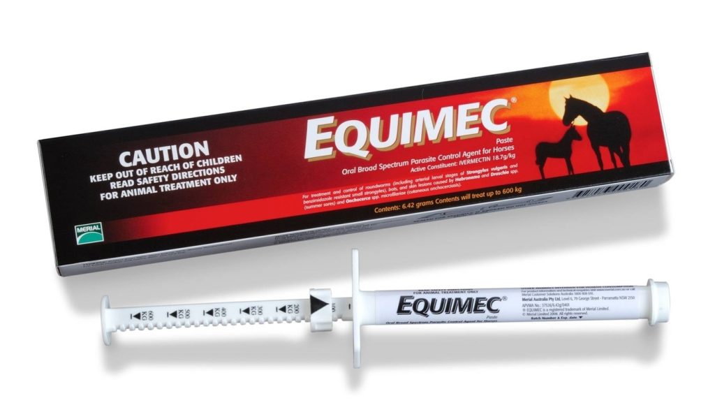 Equimec Worm Paste - Wild Pet
